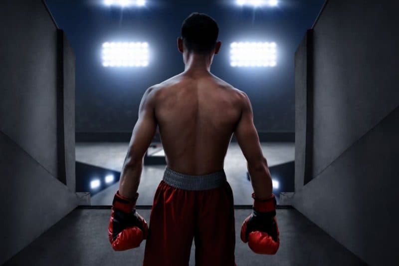 Boxhandschuhe für jeden Stil: Finde deine Marke bei PittsWear!