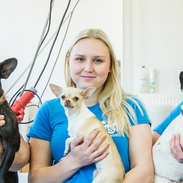 Liebevolle Handarbeit: Unser AirleXX für deinen treuen Begleiter!