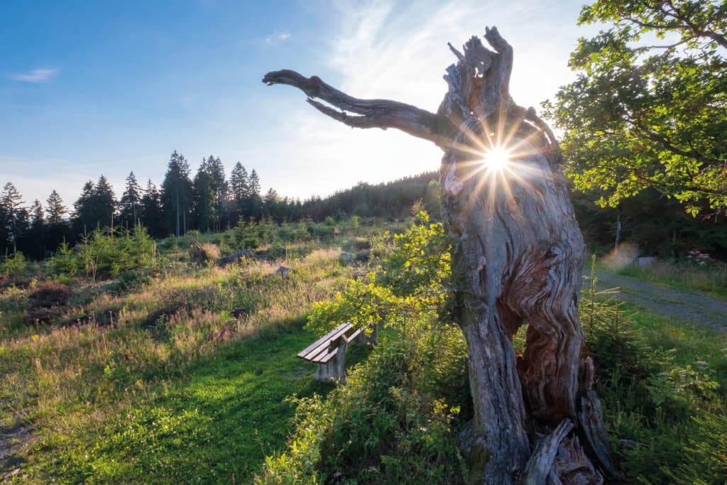 Spiritueller Blog: Die Reise zur Selbstakzeptanz und inneren Harmonie
