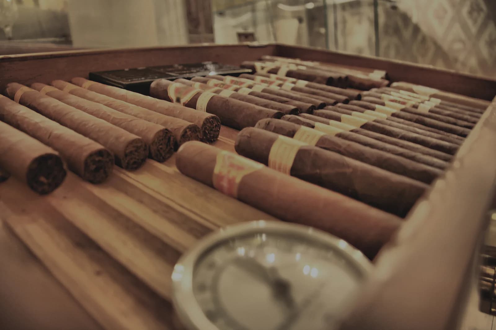 Erlesene Humidore für anspruchsvolle Zigarrenliebhaber