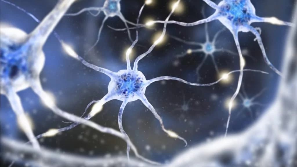 Die Wissenschaft hinter NAD+: Der Coenzym-Booster für ein langes Leben