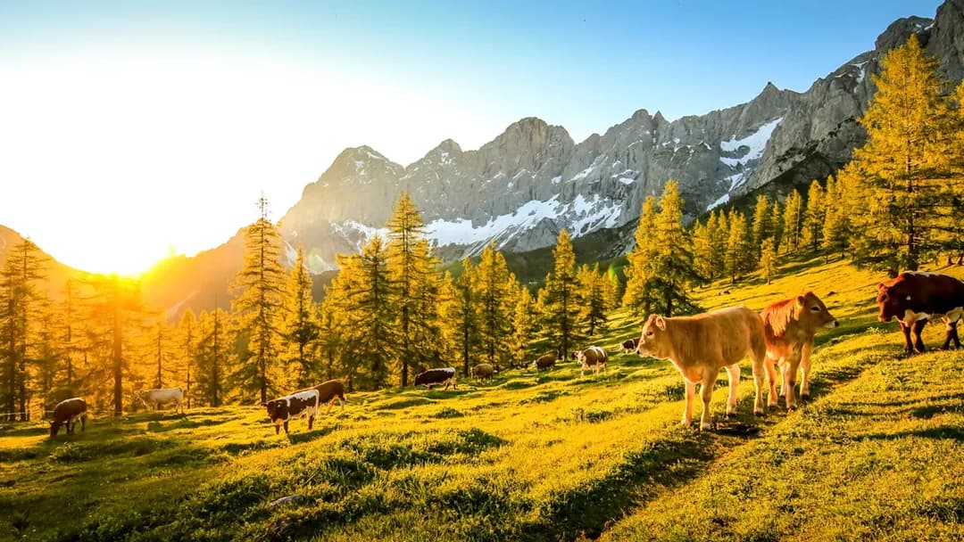 Die zauberhafte Steiermark: Entdecke die Schönheit Österreichs