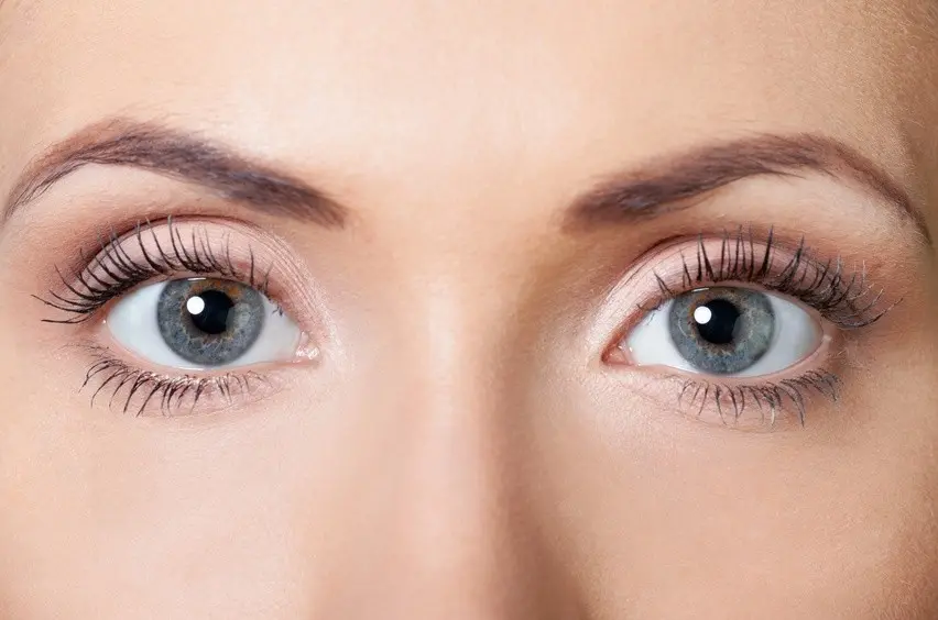LashLink präsentiert Elan Farbe – Für beeindruckende Farbergebnisse