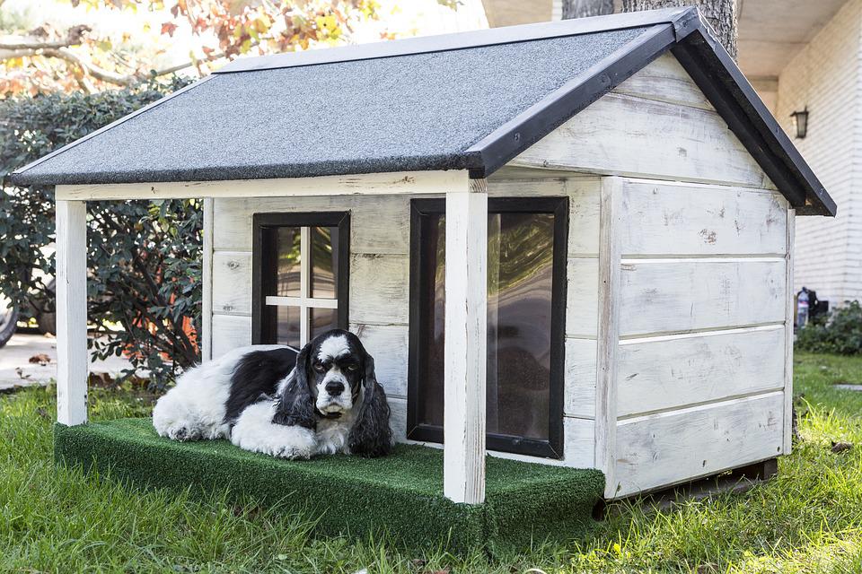 Top 10 Ferienhäuser mit Hund für unvergessliche Familienurlaube