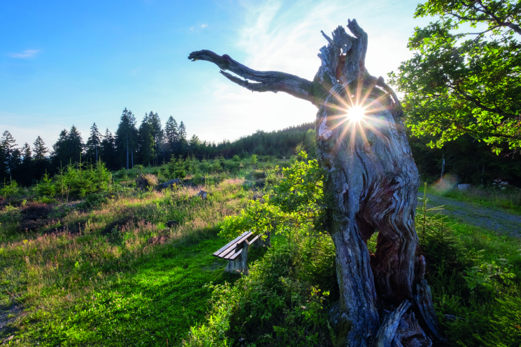 Spiritueller Blog: Die Reise zur Selbstakzeptanz und inneren Harmonie