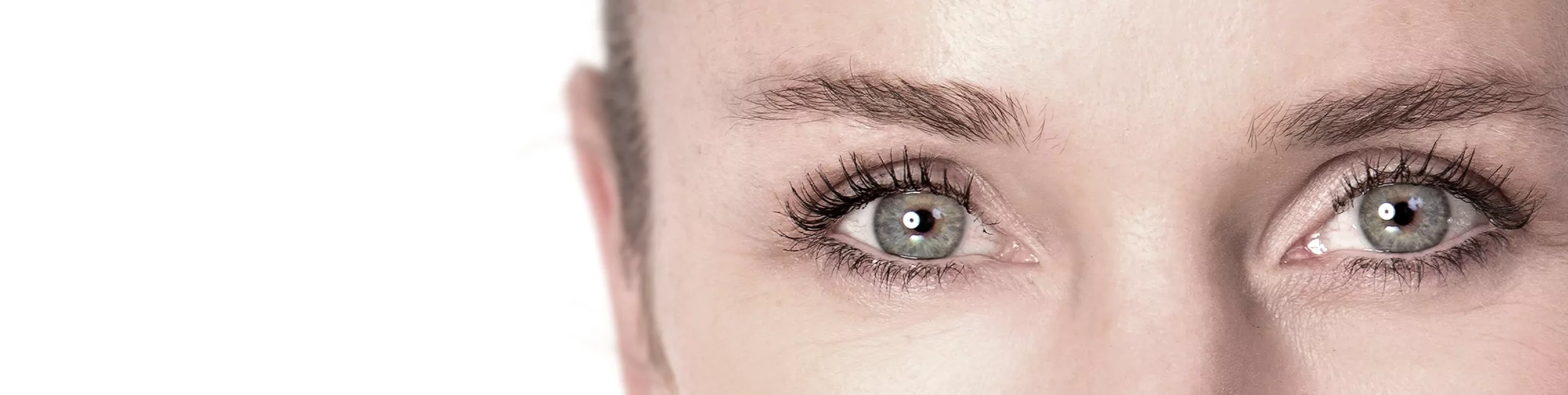 Perfektionieren Sie Ihre Augenbrauen mit der besten Augenbrauenpinzette von LashLink