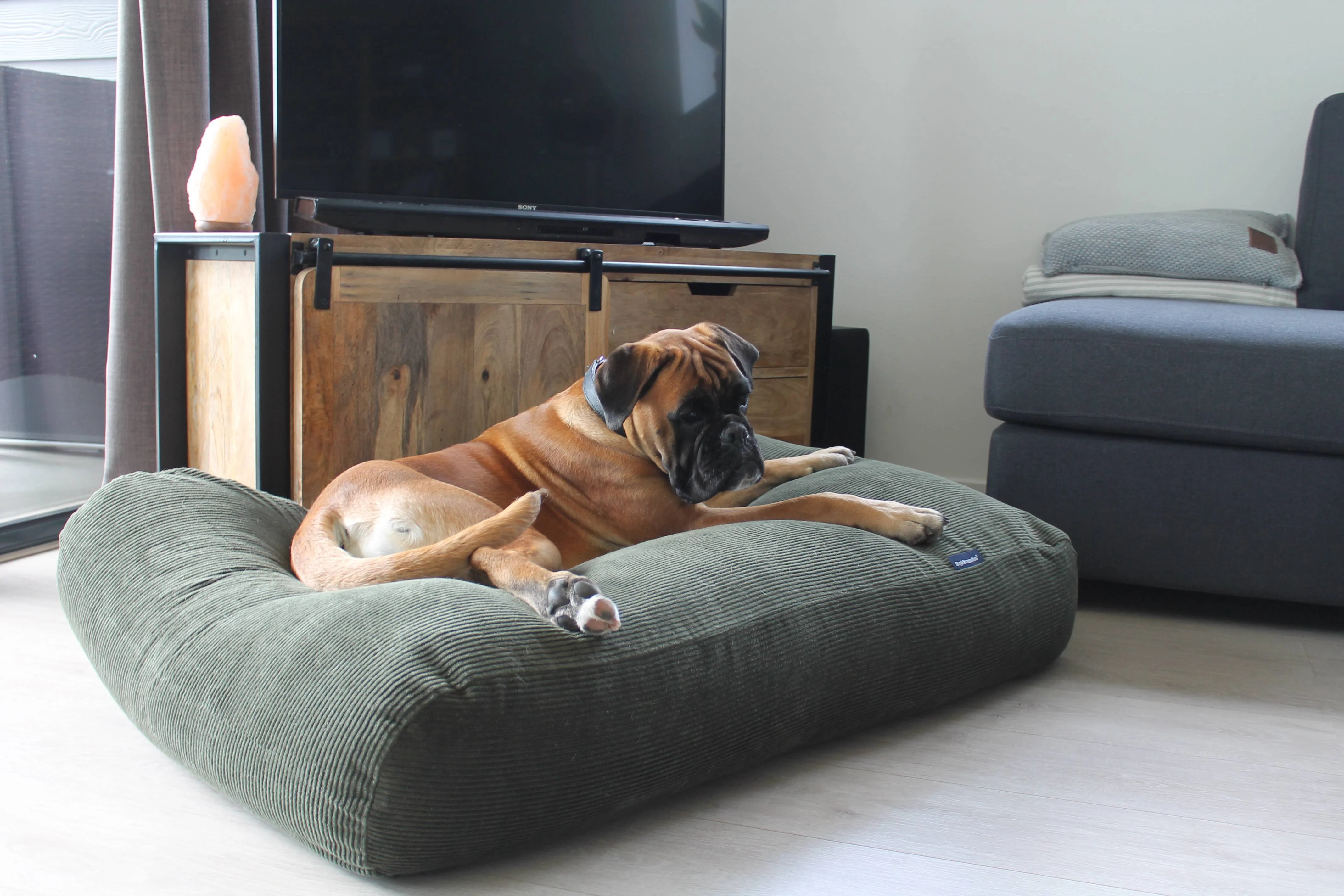 Wie man ein beheiztes Orthopädisches Hundebett sicher verwendet