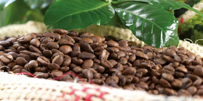 Die Kunst, kolumbianischen Kaffee zuzubereiten