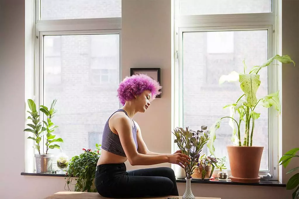 Im digitalen Dschungel zuhause: Dein Lifestyle-Blog für einzigartige Entdeckungen
