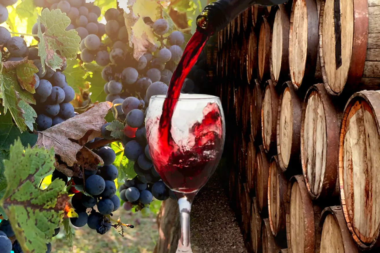Die Geschichte und Herstellung von Wein ohne Alkohol